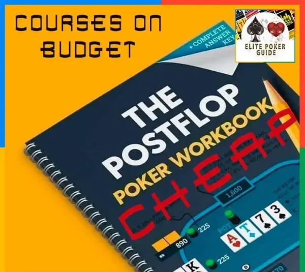 Splitsuit The Postflop Workbook