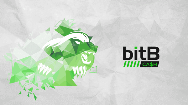 bitb-cash.png BitB Cash PioSolver Masterclass